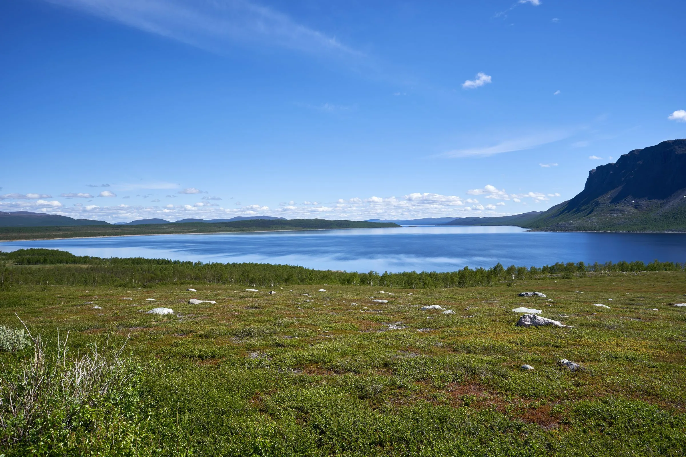 Grönt fält vid en blå sjö en klar sommardag